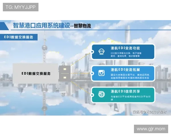 乐天国际物流有限公司：专业高效的全球物流解决方案